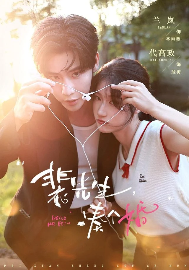 裴先生，凑个婚作品封面
